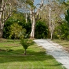 Path on Caribbean nature walk