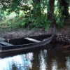 Boat on the river