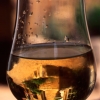 Vision in wine