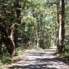 Path in the Dordogne