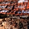 Roof tiles in the snow