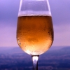 Glass of Champagne