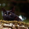 Max Watching