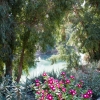 Jordan River and Foliage