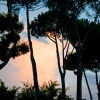 Sunset in Rome.