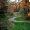 Autumn Path Riverbend