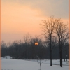 Winter sunset