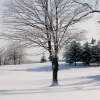 Winter morning Riverbend